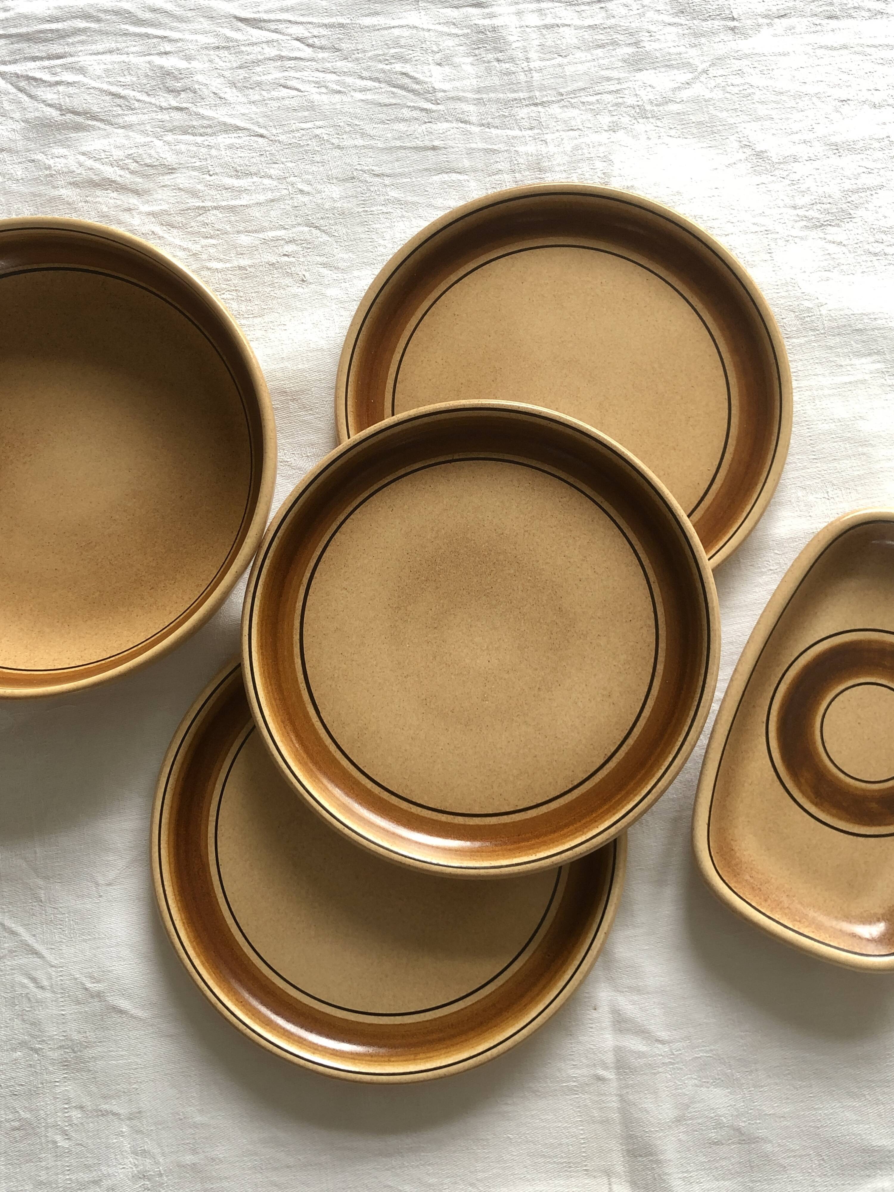 Salins stoneware dinner plates