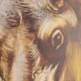 Zoo Berlin, 53 x 70 cm