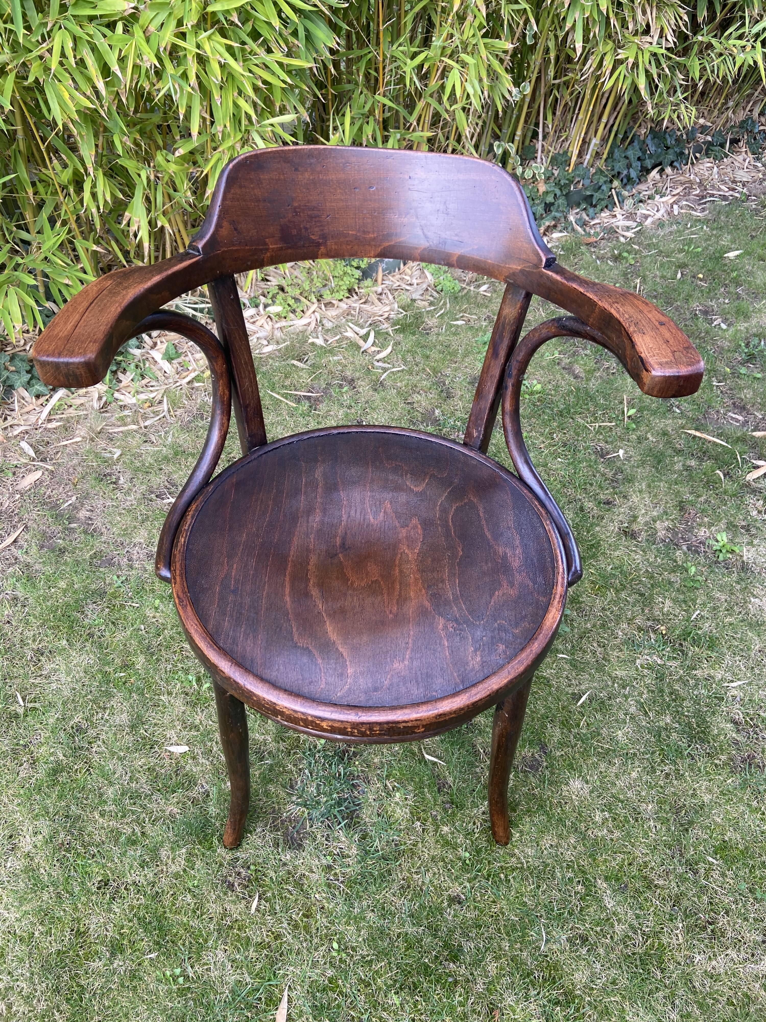 Viennese curved wood armchair JJ Kohn Bentwood