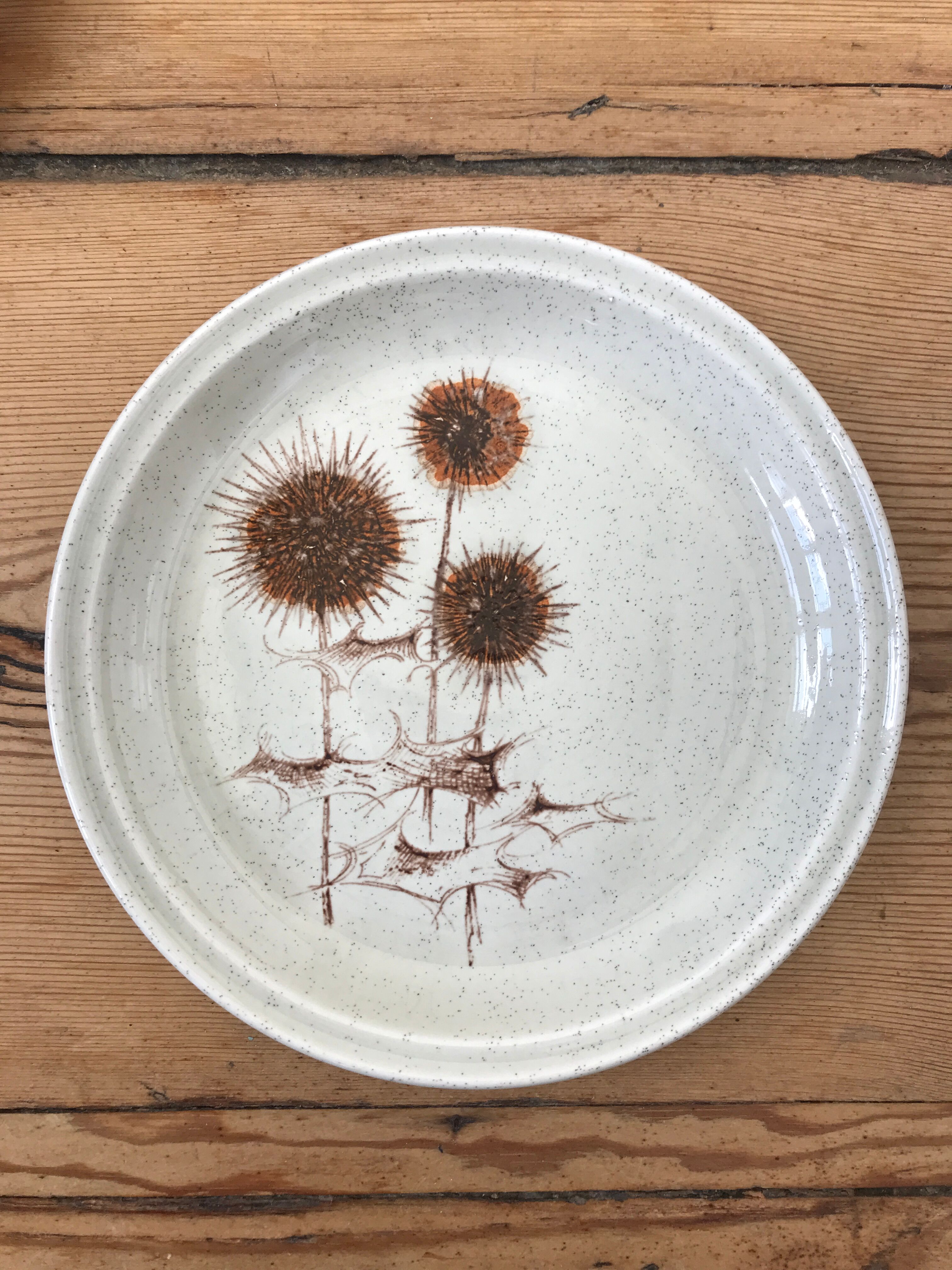 Série de 10 assiettes à desserts Sarreguemines
