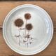 Série de 10 assiettes à desserts Sarreguemines