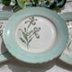 6 vintage white and green porcelain dinner plates Iris Moulin des Loups "Sargosse" 1950s