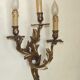 Very large pair of early 1900s 3-light acanthus leaf wall sconces 5209