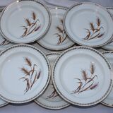 10 Hollow plates wheat pattern - gold edged - pl -porcelain vintage