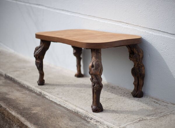 Table basse bois et pieds de vigne