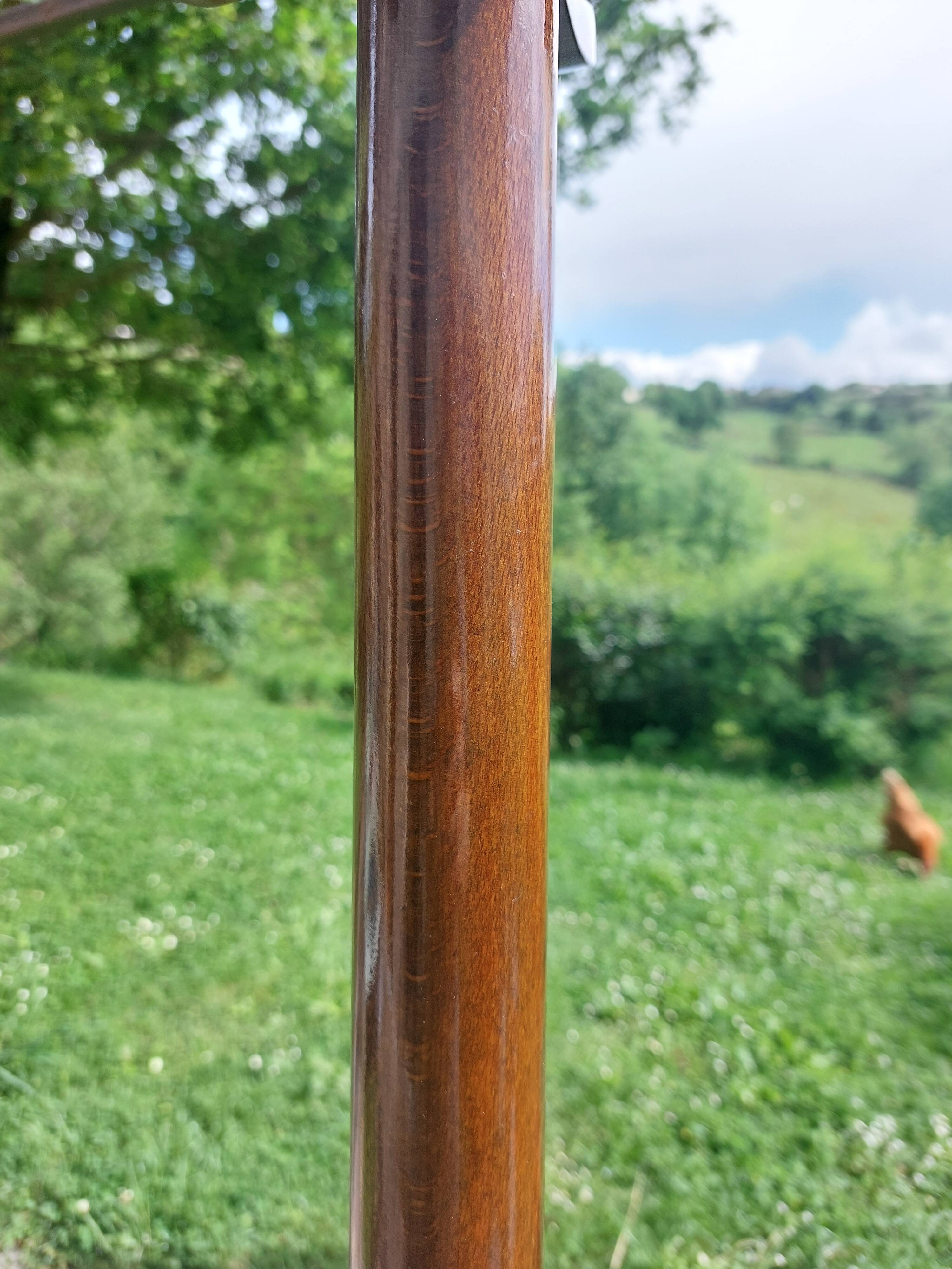 dark-coloured wooden coat rack parrot