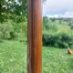 dark-coloured wooden coat rack parrot