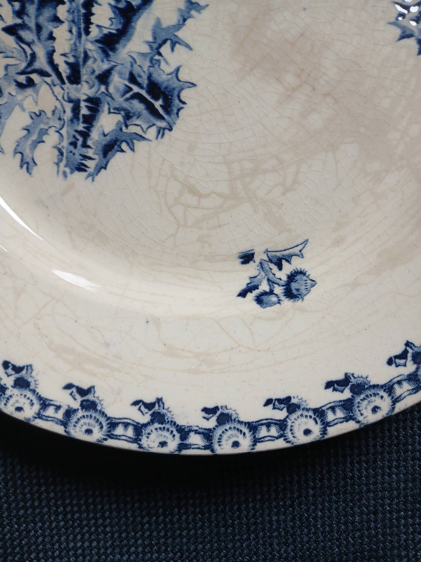 14 dinner plates + 2 "Chardons" dishes from Gien