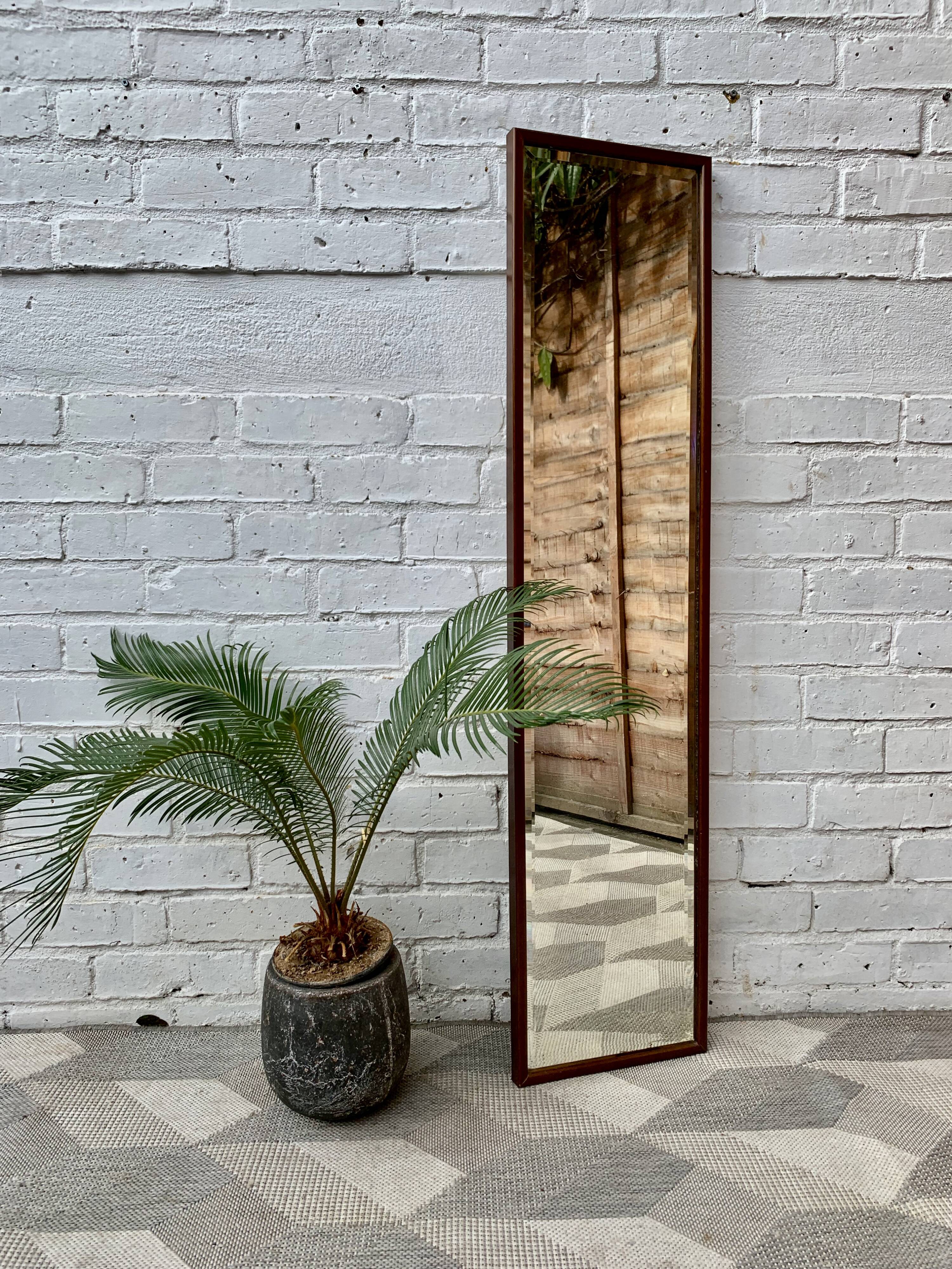 Wall mirror wood frame 119x28cm