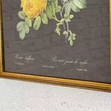 Paire de gravures fleurs