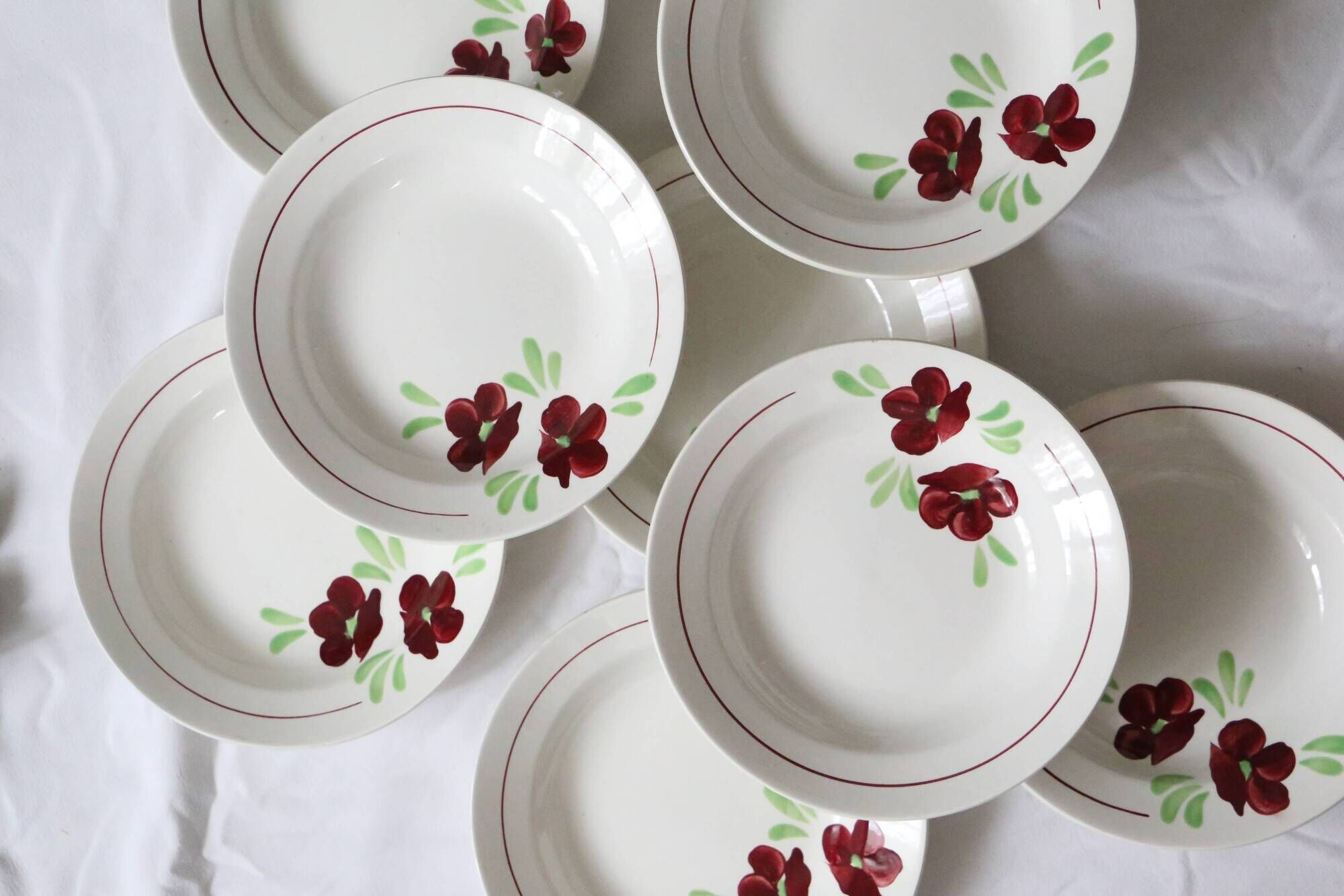 Set of 9 Salins hollow plates, Ninon pattern, French vintage, authentic, rare, countryside