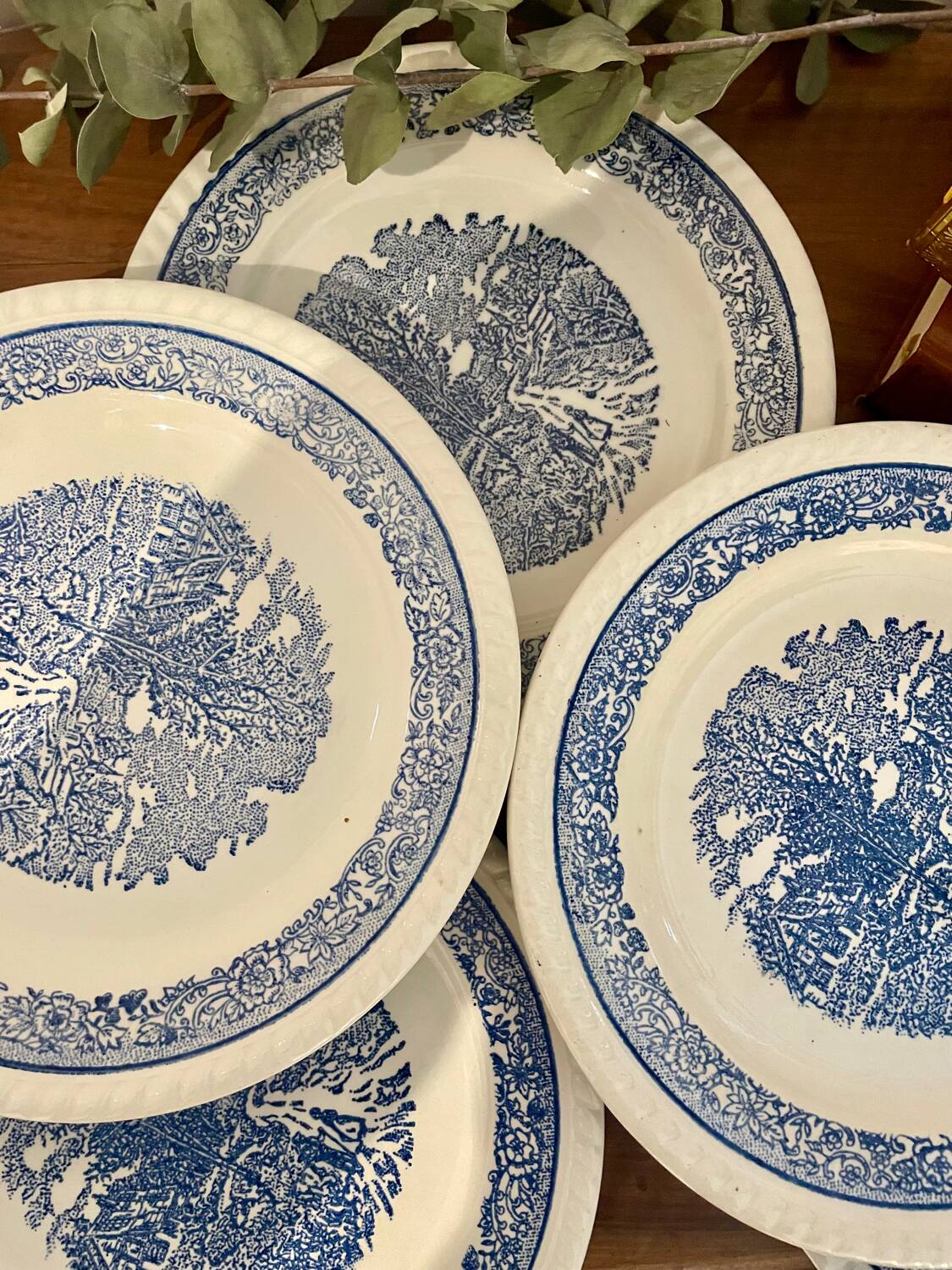 Lot de 6 assiettes à dessert