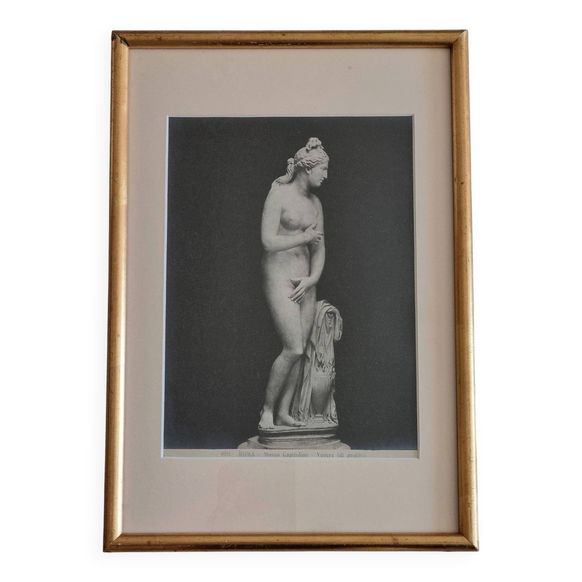 Old photograph of Venus in profile, Capitoline Museum, Rome, 1900, 26x39 cm.