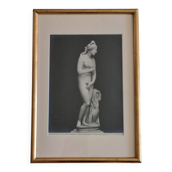 Photographie ancienne Vénus de profil Museo Capitolino Rome 1900 26x39 cm
