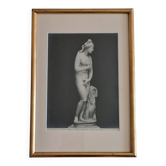 Photographie ancienne Vénus de profil Museo Capitolino Rome 1900 26x39 cm