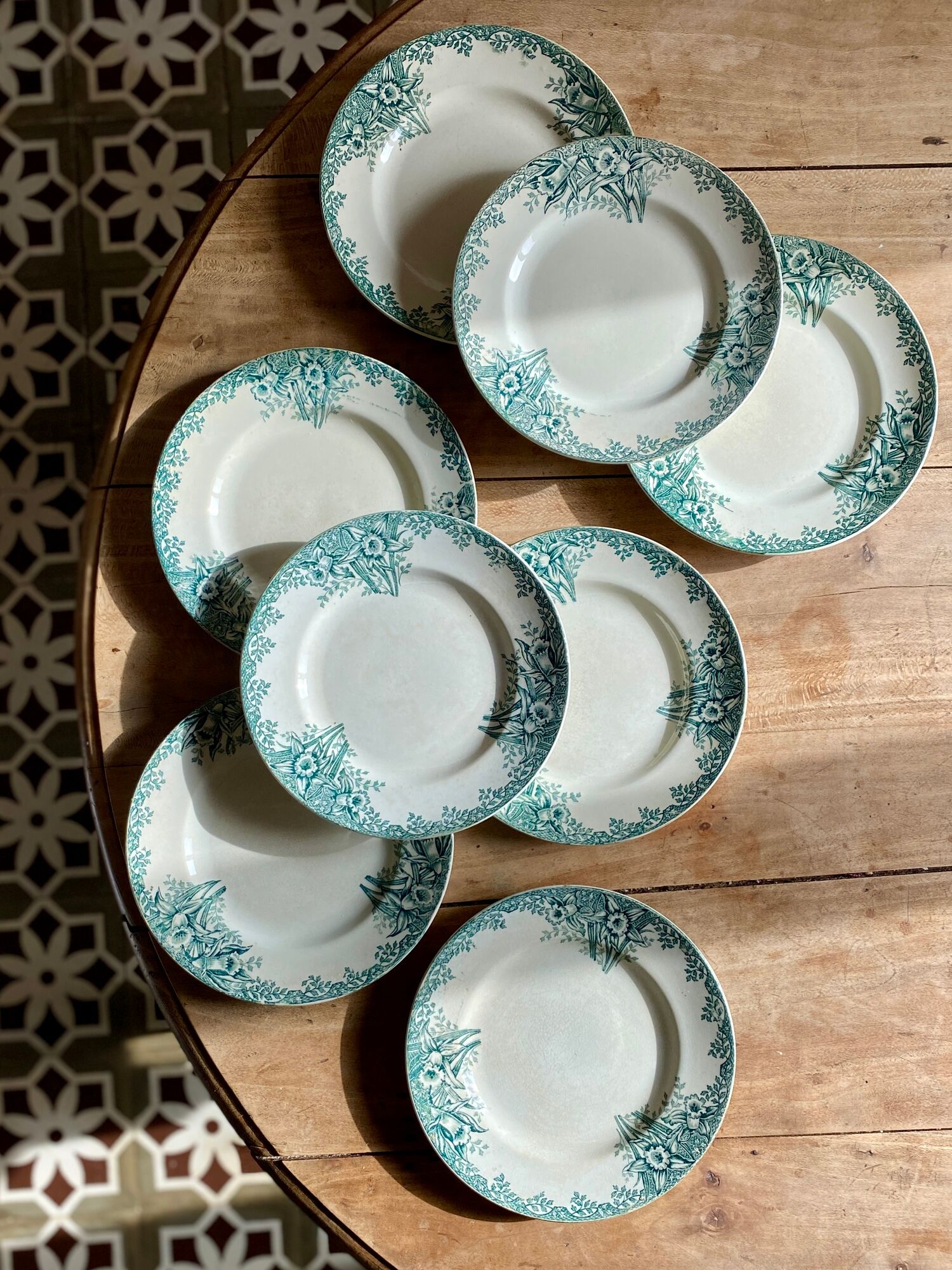 Set of 8 vintage flat plates in iron earth, model Narcisses de Saint Amand (LOT1)
