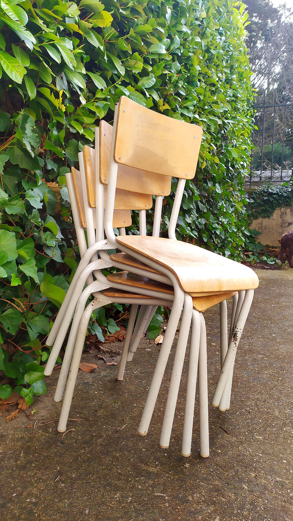Series of 4 school chairs