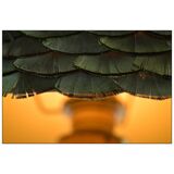 Lampe à pétrole du XIXème siècle en bronze doré