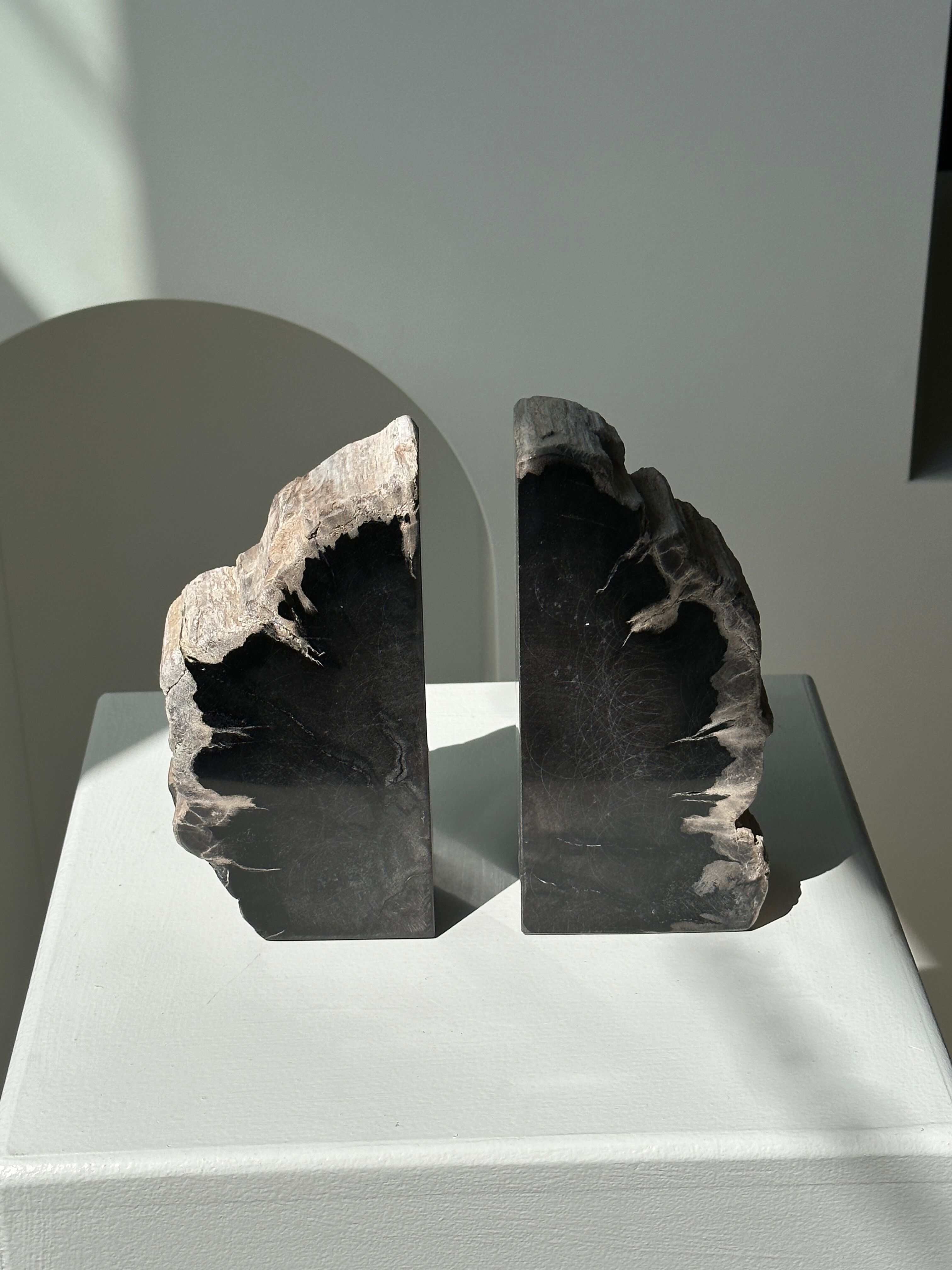 Black petrified wood bookend H17 L17 P6
