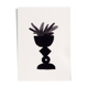 Black vase with N.1 plant