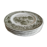 Set of 5 English plates