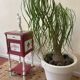 Vintage Lys Marble Wood Bedside Table
