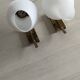 Vintage arlus wall lights in brass and glass 1950