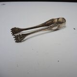 Antique metal sugar tongs in the shape of a lion's paw.