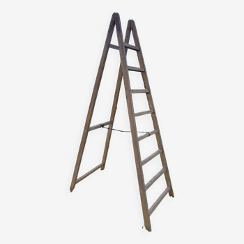 Painter's ladder stepladder