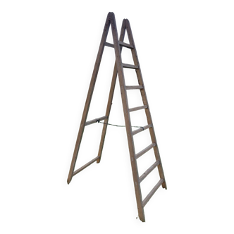 Painter's ladder stepladder