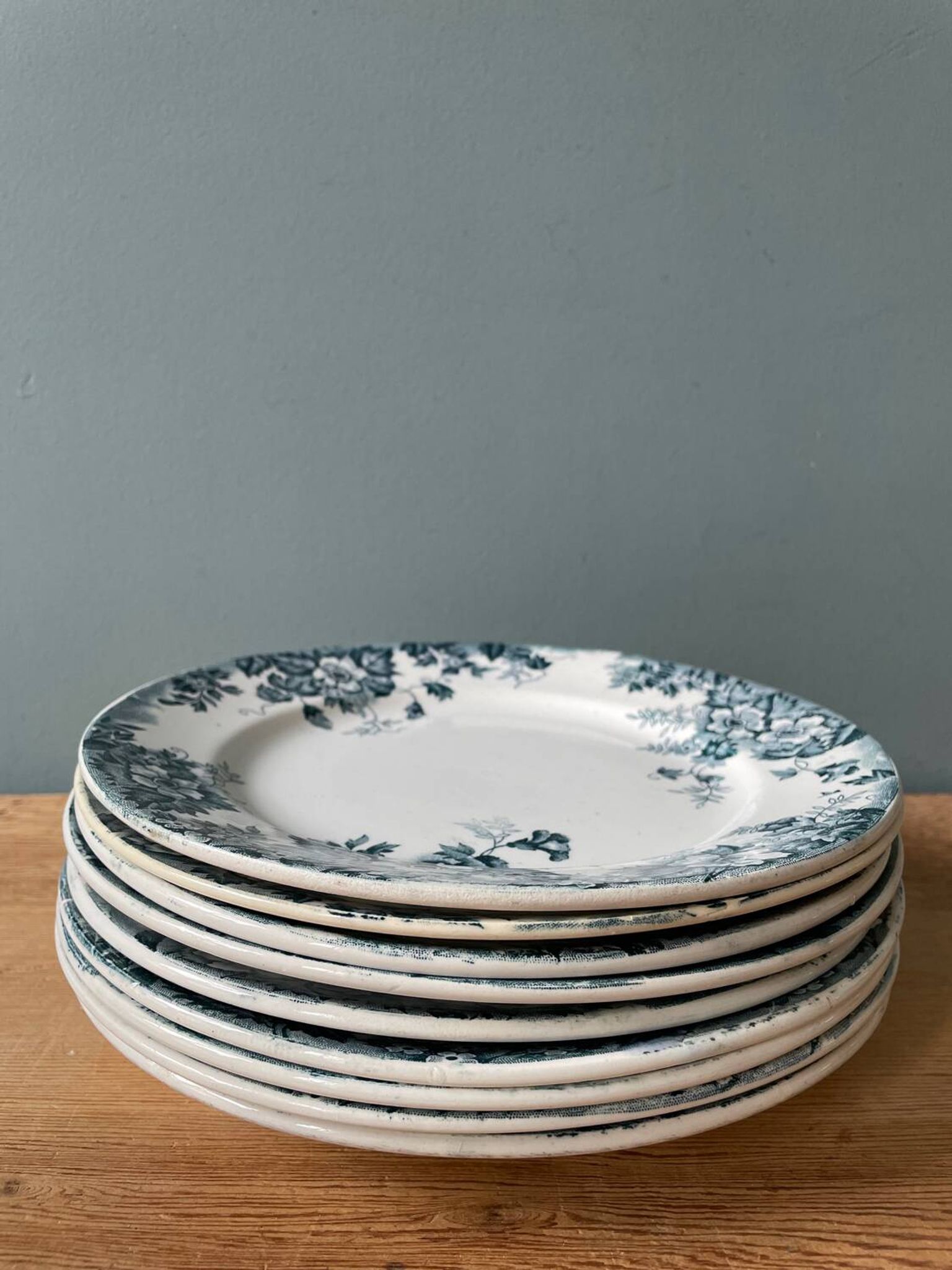 Series of 9 flat plates Terre de Fer “Marie-Louise” St Amand and Hamage