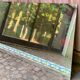 Grand miroir mural rectangulaire vintage 200x100cm