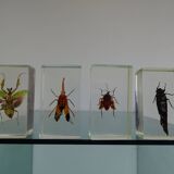 Lot 4 insects inclusion resins to identify vintage