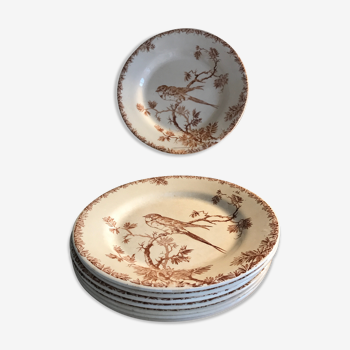 8 assiettes plates porcelaine opaque Gien modèle provençal
