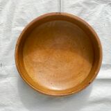 Dish