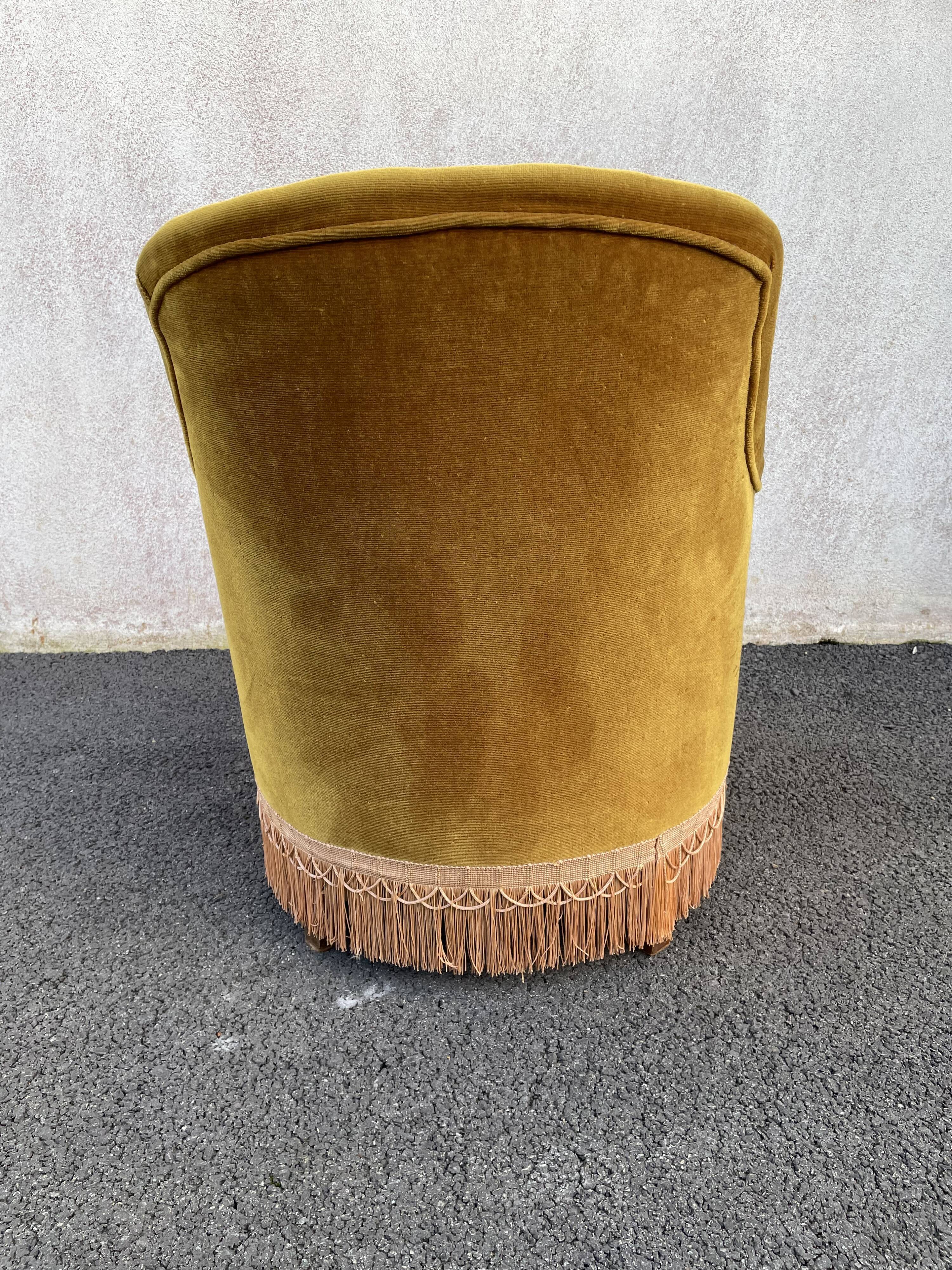 Padded golden yellow velvet toad