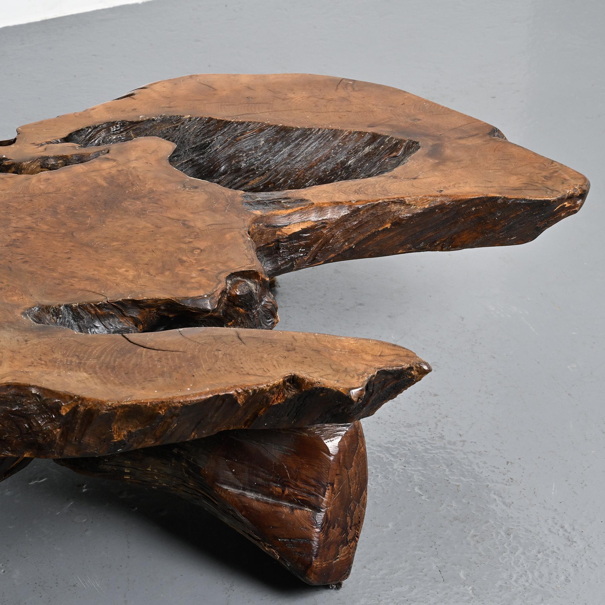 Table basse brutaliste en loupe d'orme, circa 1960