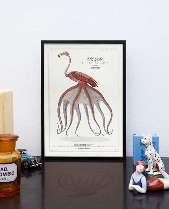 Chimera lithograph animal engraving - the pink flamoulpe