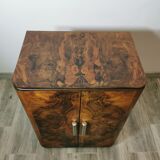 Cabinet by Hynek Gottwald