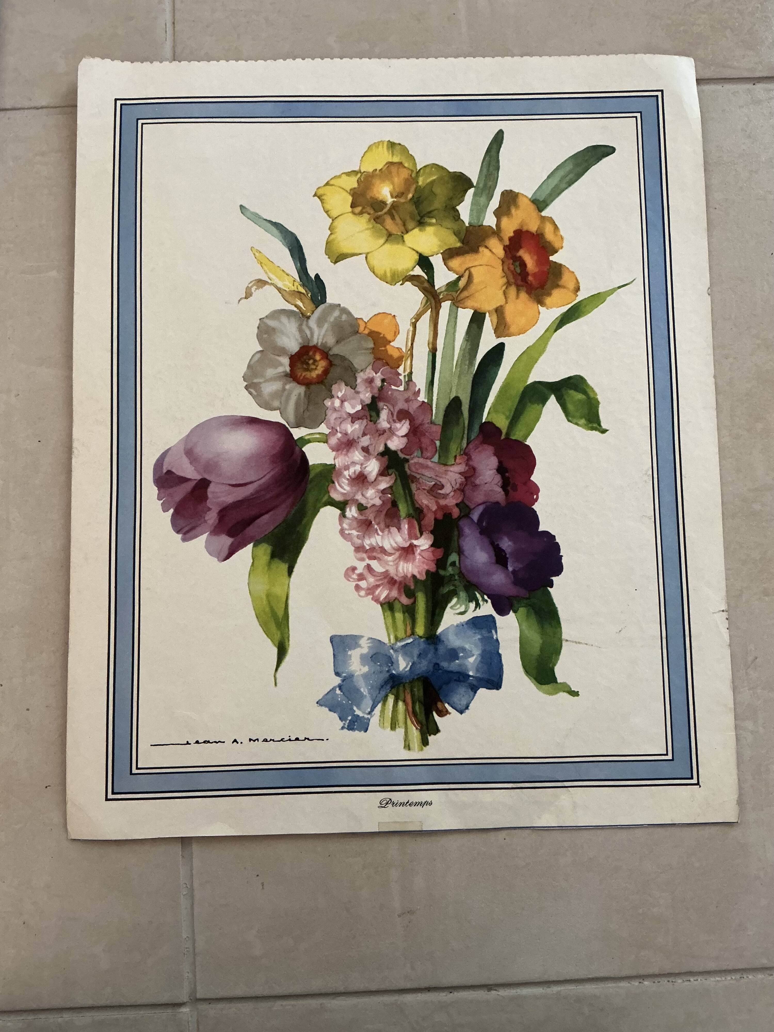Illustration florale ancienne.