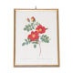 Gravure encadrée de Redouté Rosier églantier