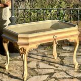 Coffee table/display cabinet in painted polychrome wood.