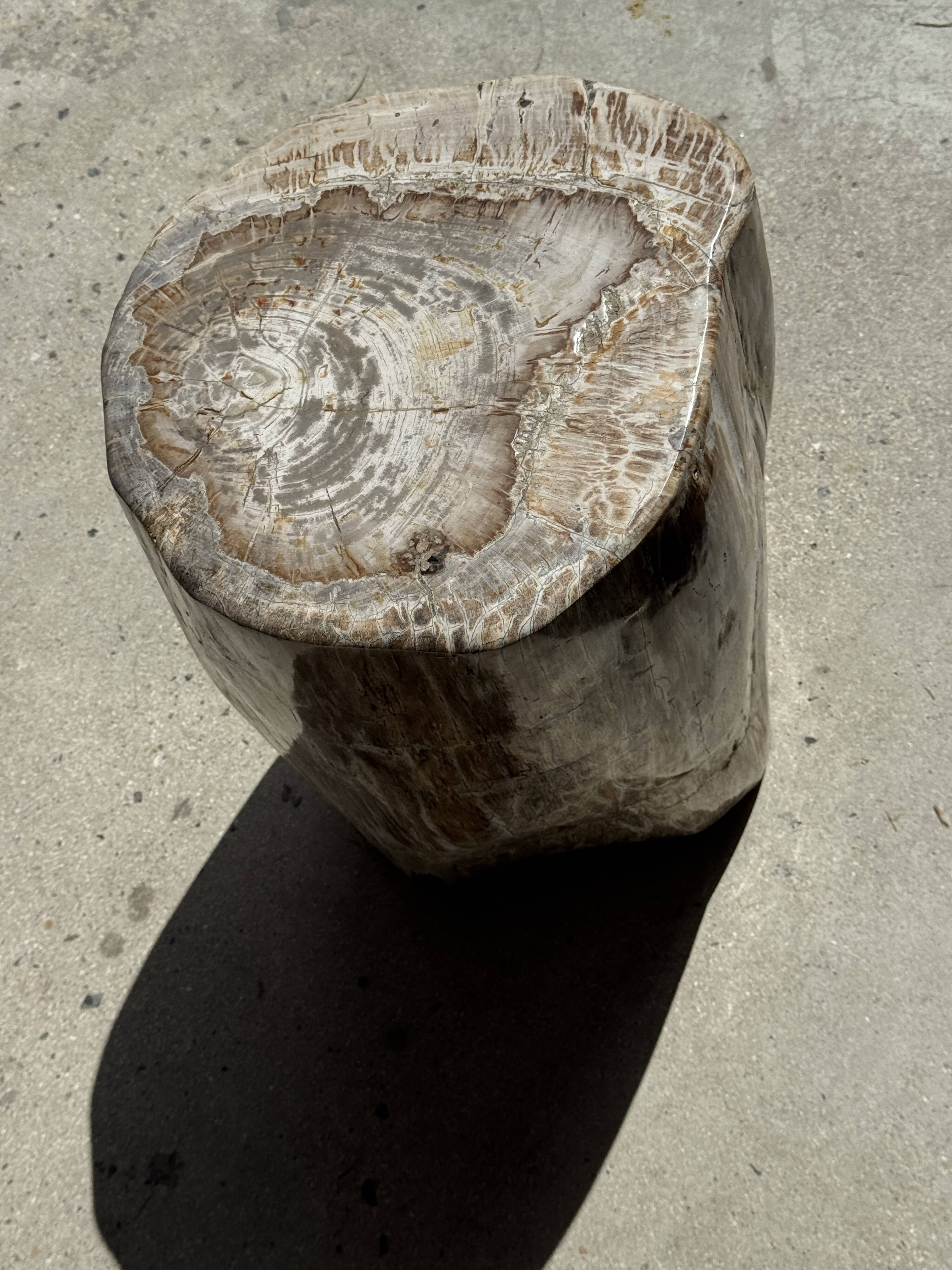 Very large white and grey petrified wood side table H45 D39 - 334