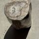 Very large white and grey petrified wood side table H45 D39 - 334