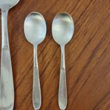 SFAM silver metal serving set for 2