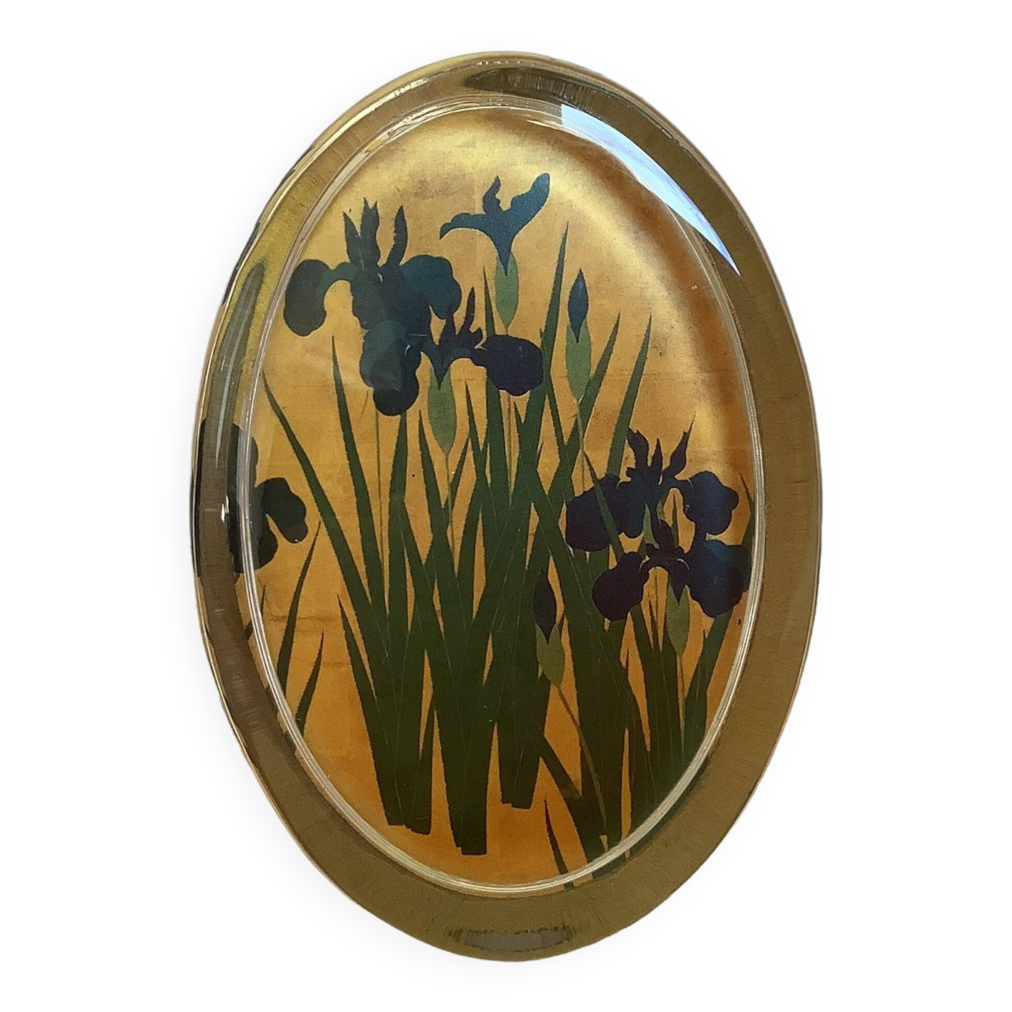 Iris flower paperweight
