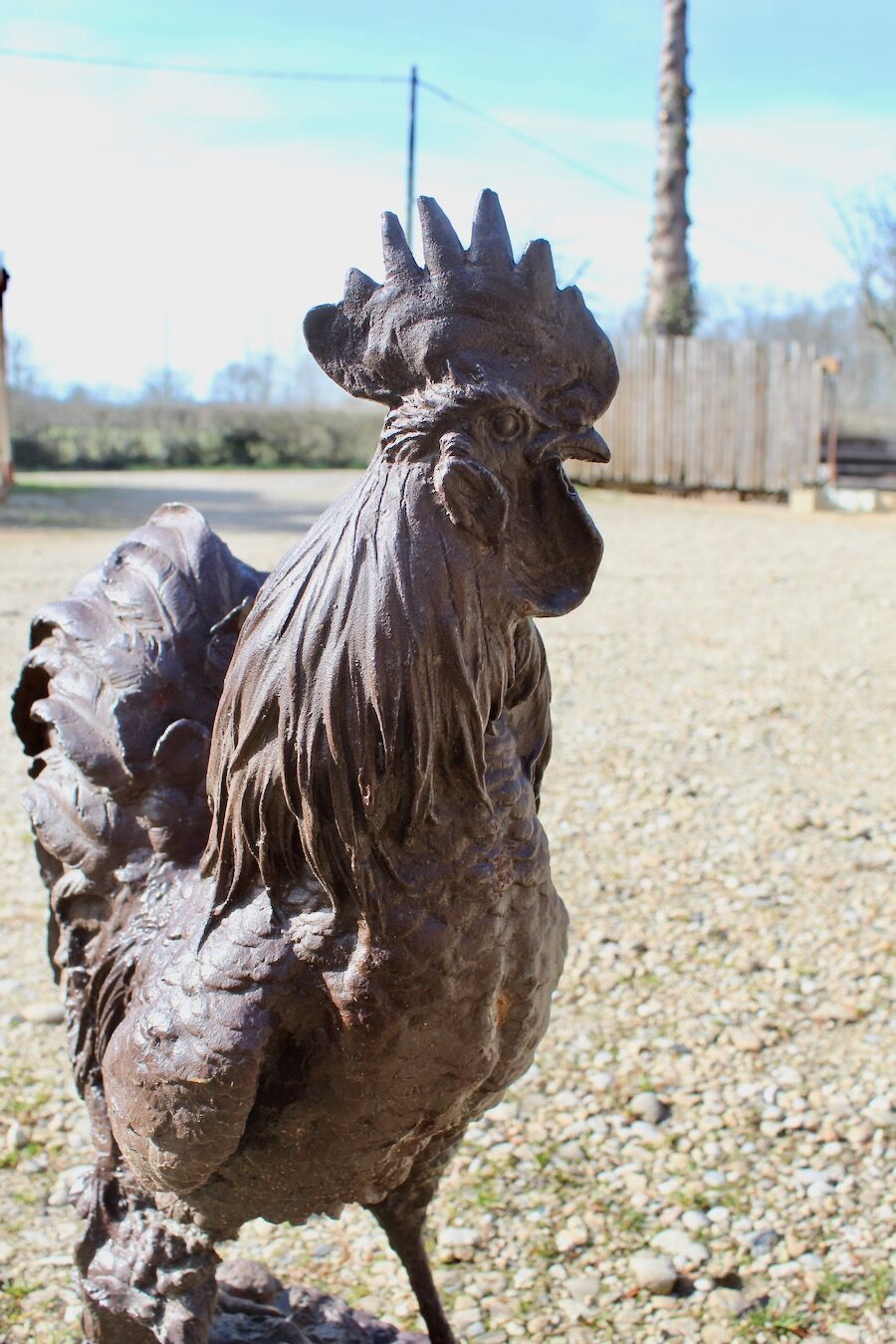 Cast iron rooster