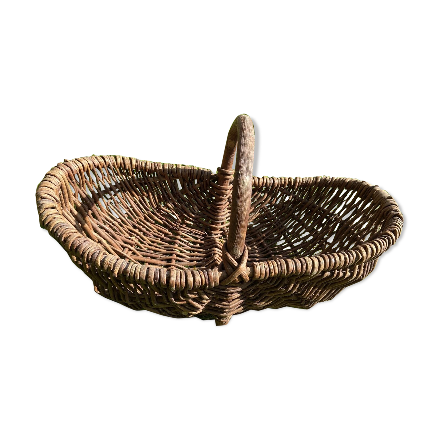 Basket with wicker handle picking vegetable garden mushrooms