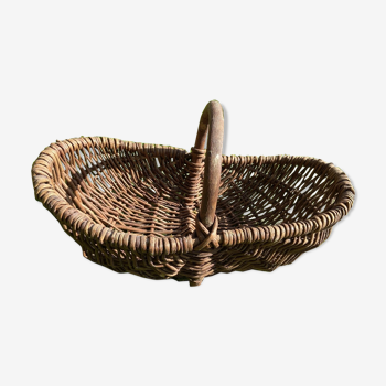 Basket with wicker handle picking vegetable garden mushrooms