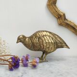 Brass quail